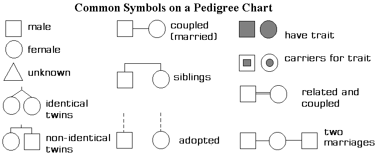 Reading Pedigrees